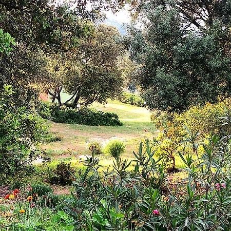 Farm Stay Gli Oleandri Loiri Porto San Paolo Exterior photo