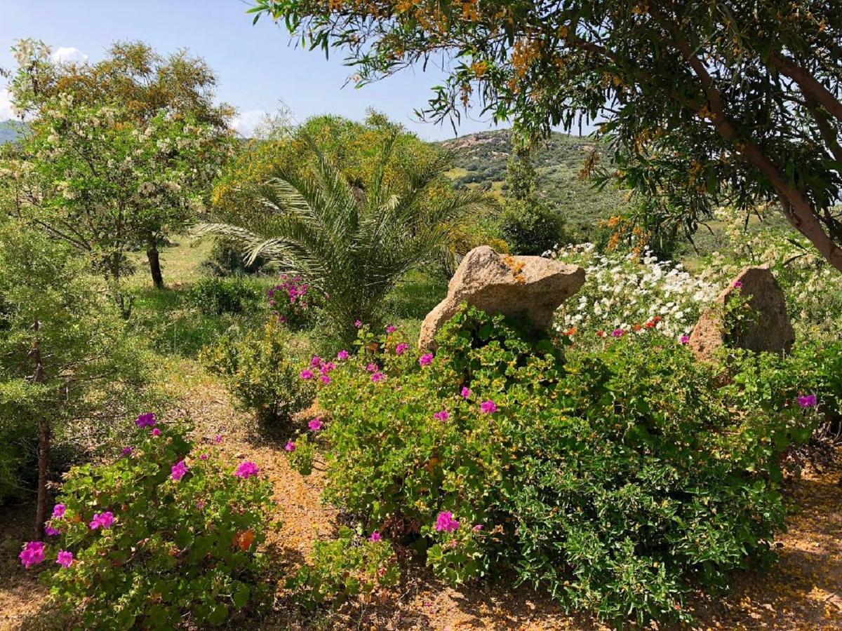Farm Stay Gli Oleandri Loiri Porto San Paolo Exterior photo