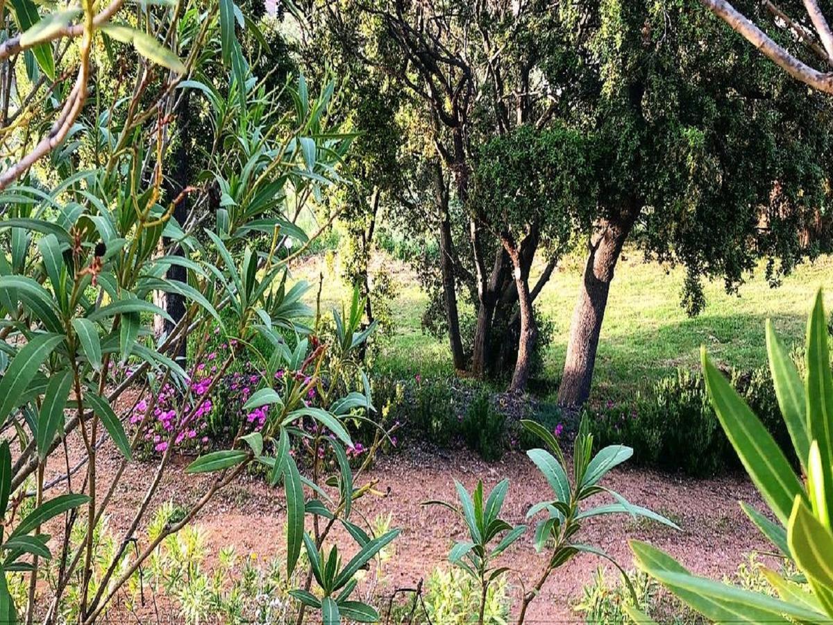 Farm Stay Gli Oleandri Loiri Porto San Paolo Exterior photo